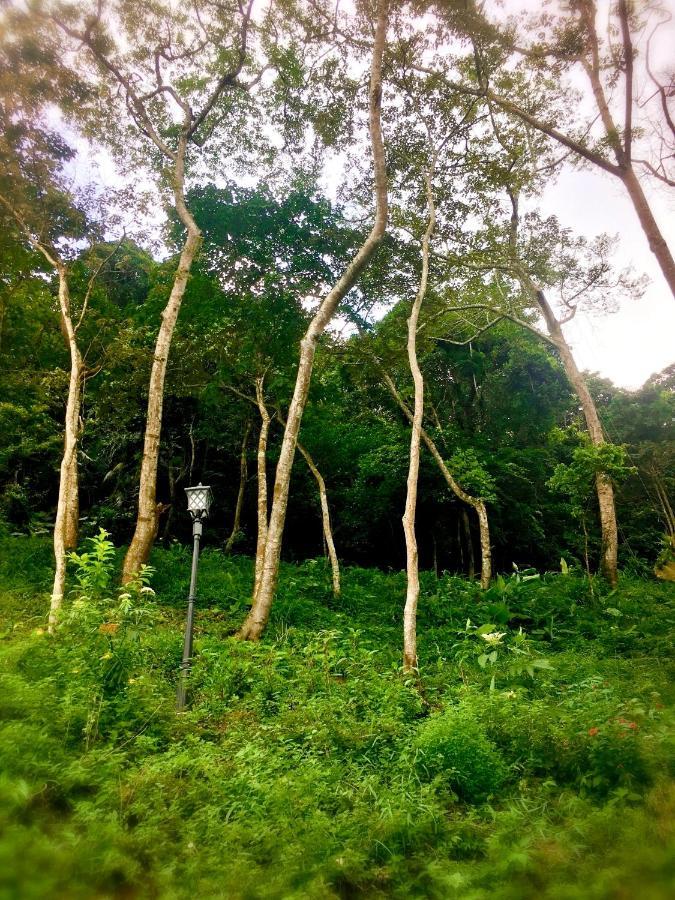 Wan Ruey Resort Hengshan المظهر الخارجي الصورة